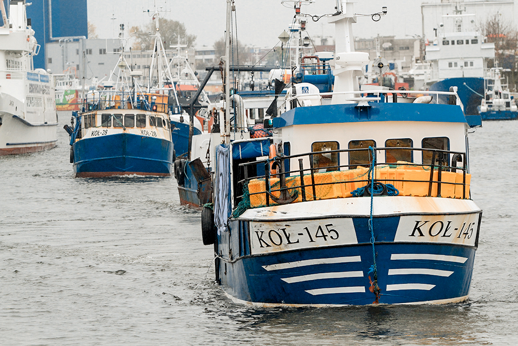 kol-145